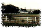 Hesteriet Kumlegaard