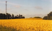 Spragleh�j Burial Mound