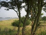 L�nager Beach Area