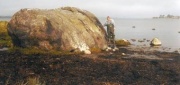The Odde Boulder