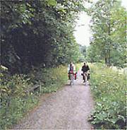 Boserup Skov forest site