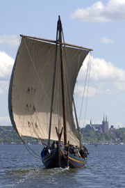 Havhingstens togt til Dublin 2007